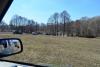 DSC_0233.JPG