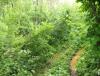 DSCF7031.JPG