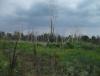 DSCF7036.JPG