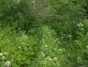 DSCF7028.JPG