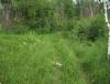 DSCF7026.JPG
