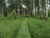 DSCF7038.JPG