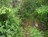 DSCF7029.JPG