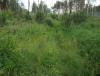DSCF7024.JPG