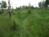 DSCF7048.JPG