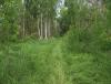 DSCF7041.JPG