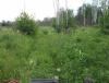 DSCF7034.JPG