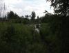 DSCF7054.JPG