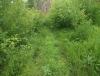 DSCF7027.JPG