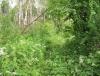 DSCF7032.JPG
