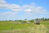 DSC_0052.JPG