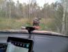 IMG_20130928_180742.jpg