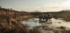 DSC_8196.jpg