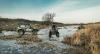 DSC_8176.jpg